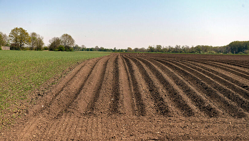Auf einem Acker in Berg am Laim sollen neue Wohnungen entstehen. (Symbolbild)