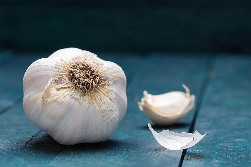 Die Knolle fehlt in keiner italienischen Küche und sollte auch bei Ihnen öfter auf den Teller kommen: Knoblauch tötet Pilze, Bakterien und sogar einige Viren. Zudem wirkt Knoblauch gefäßschützend und beugt Herz-Kreislauf-Erkrankungen vor. Die Knolle fehlt in keiner italienischen Küche und sollte auch bei Ihnen öfter auf den Teller kommen: Knoblauch tötet Pilze, Bakterien und sogar einige Viren. Zudem wirkt Knoblauch gefäßschützend und beugt Herz-Kreislauf-Erkrankungen vor.