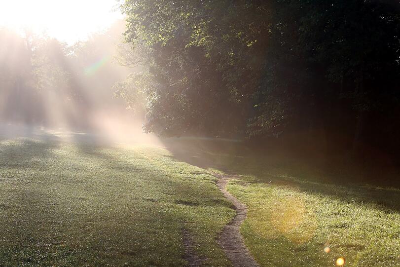 Es ist früh und die Sonne kämpft sich tapfer durch den arg zähen Nebel.