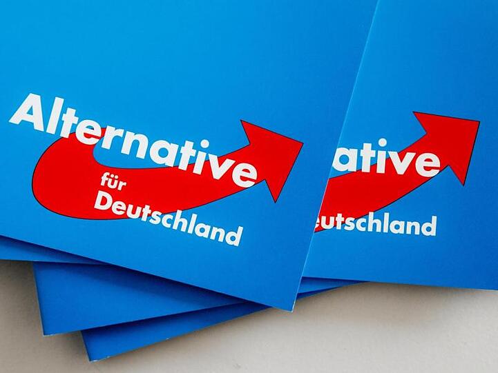 Die AfD hat mit der Bildung von Rücklagen begonnen, um mögliche Strafzahlungen begleichen zu können. Laut Co-Parteichef Meuthen hat der AfD-Bundesvorstand beschlossen, eine Million Euro zurückzulegen.