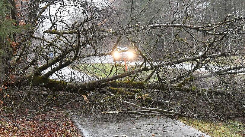 Die Feuerwehr muss sich bei Taufkirchen-Endlhausen um einen umgestürzten Baum kümmern.
