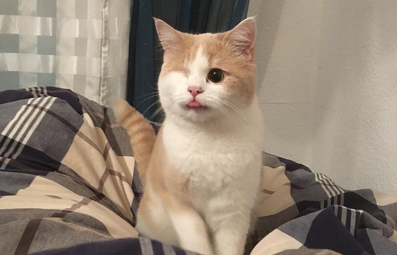 Fritz