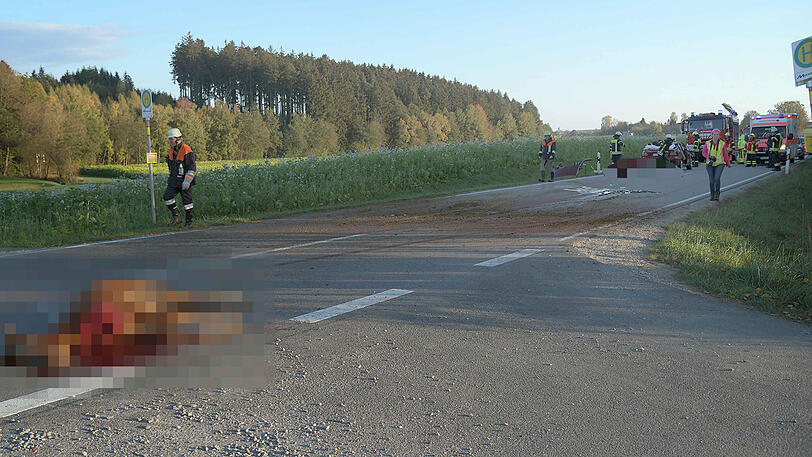 Ein Mercedes mit Totalschaden, ein schwerverletzter Autofahrer und zwei tote Pferde auf der Landstraße. Die schrecklichen Bilder aus Gangkofen