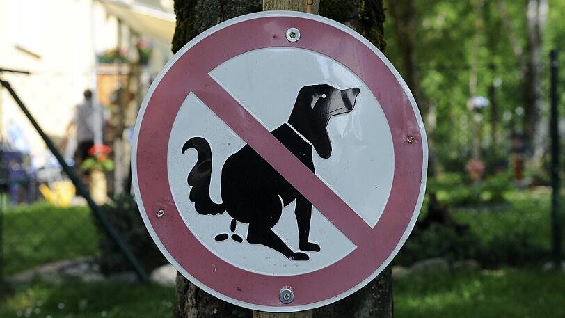 Bis eine Streife eintraf, war das Herrchen verschwunden. (Symbolbild)