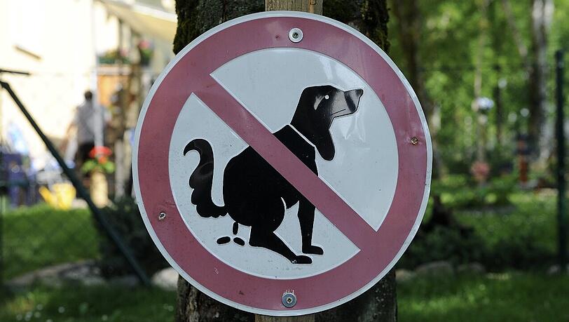 Bis eine Streife eintraf, war das Herrchen verschwunden. (Symbolbild) Bis eine Streife eintraf, war das Herrchen verschwunden. (Symbolbild)