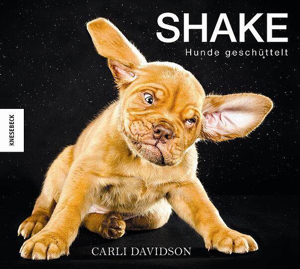 Der lustige Bildband "Shake" von Carli Davidson ist im Münchner Knesebeck Verlag erschienen und kostet 16,95 Euro.