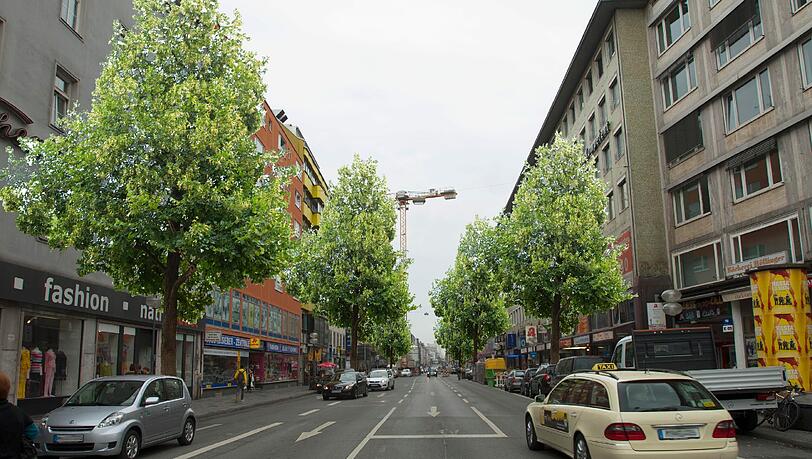 Dass es hier auch ganz anders aussehen könnte, wie eindrucksvoll ein paar Bäume das Straßenbild verschönern würden, das zeigt die Fotomontage von Fotograf Franz Wickenhäuser. Dass es hier auch ganz anders aussehen könnte, wie eindrucksvoll ein paar Bäume das Straßenbild verschönern würden, das zeigt die Fotomontage von Fotograf Franz Wickenhäuser.