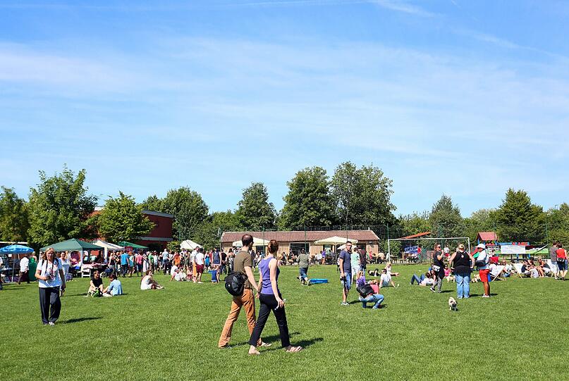 Weitere Bilder vom Mopsrennen in Riem.