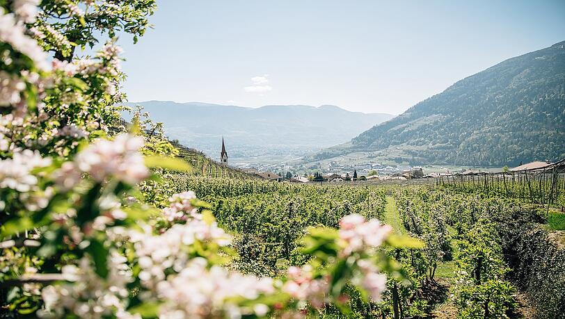 Algund und Umgebung. Algund und Umgebung.