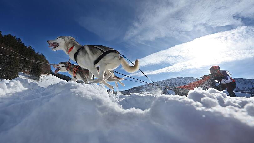Teams aus etlichen L&auml;ndern in Europas gingen im bayerisch-&ouml;sterreichischen Grenzgebiet an den Start.