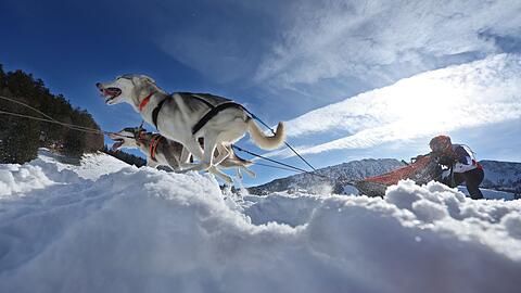 Teams aus etlichen L&auml;ndern in Europas gingen im bayerisch-&ouml;sterreichischen Grenzgebiet an den Start.