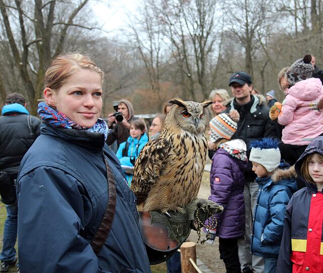 Die Greifvogel-Show im Tierpark hat jetzt eine richtige Zuschauertribüne bekommen. Am Dienstag wurde sie eröffnet.