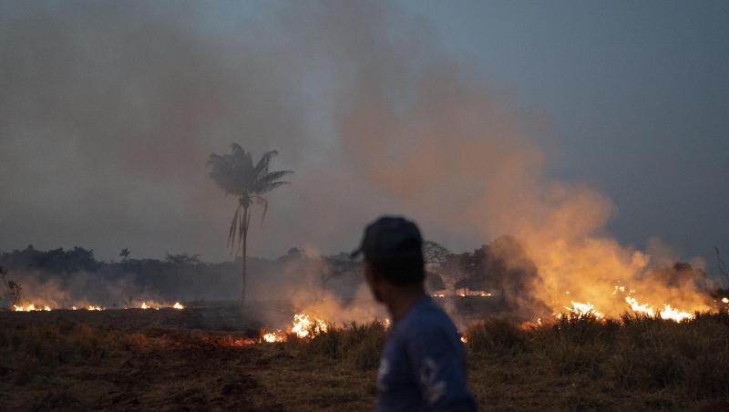 In Brasilien wüten derzeit die schwersten Waldbrände seit Jahren. In Brasilien wüten derzeit die schwersten Waldbrände seit Jahren.