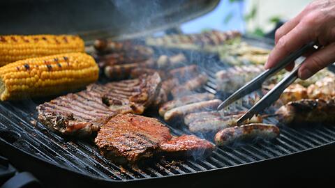 Wissenschaftlich ist klar: Wir essen zu viel Fleisch – das ist weder gesund für uns noch für die Umwelt. Wie könnte eine Ernährung der Zukunft aussehen?