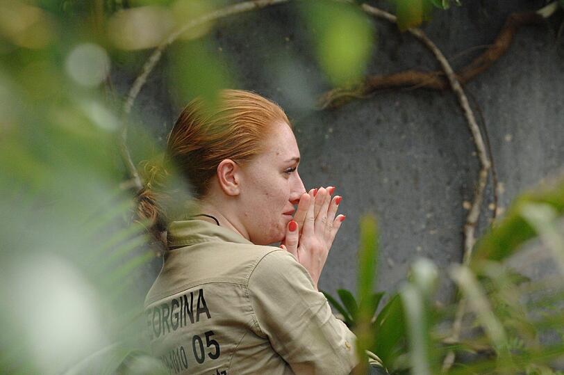 Das ängstliche It-Girl musste in ein Abwassersystem steigen und aus sechs von Spinnen, Schlangen, Kakerlaken und Ratten bewohnten Röhren Sterne herausholen.