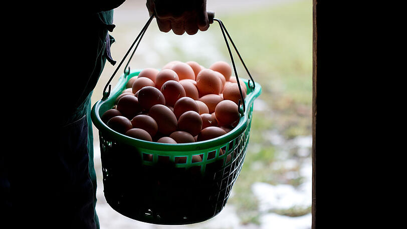 Viele Menschen legen Wert auf ausgewogene Ernährung.