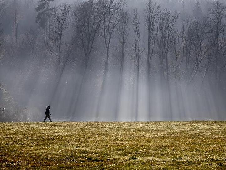 Ein Mann geht vor einem Wald spazieren. Foto: Christoph Soeder/Archivbild