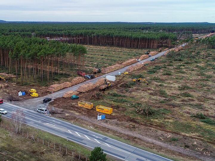 Blick auf das schon teilweise gerodete Waldgebiet auf dem künftigen Gelände der Tesla Gigafactory.