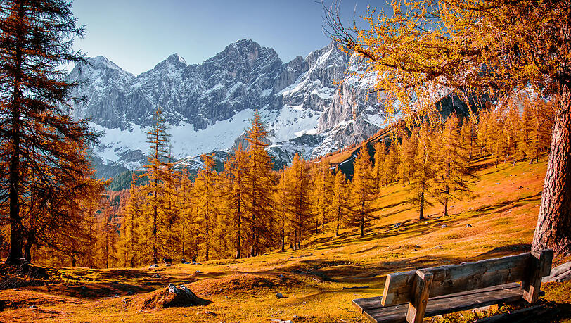 Schladming-Dachstein Schladming-Dachstein