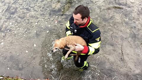 Einsatzkräfte der Feuerwehr waren nach dem Notruf schnell zur Stelle und kletterten in den Kanal.