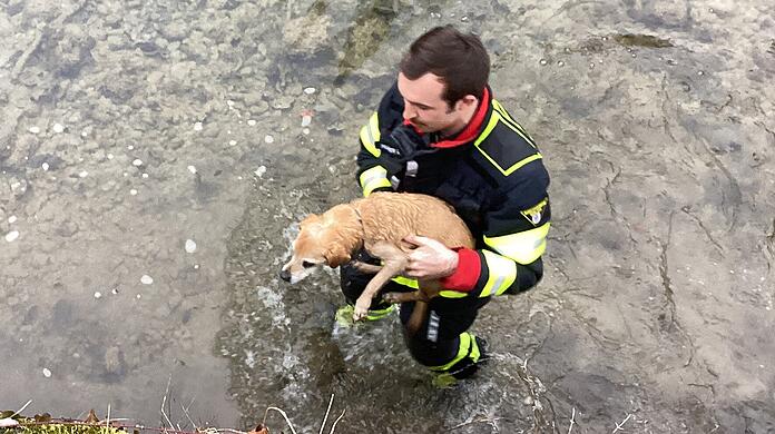 Einsatzkräfte der Feuerwehr waren nach dem Notruf schnell zur Stelle und kletterten in den Kanal.