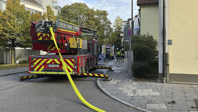 Bei dem Wohnungsbrand im Münchner Westen kamen zwei Katzen ums Leben. Bei dem Wohnungsbrand im Münchner Westen kamen zwei Katzen ums Leben.
