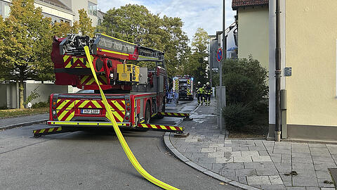 Bei dem Wohnungsbrand im M&uuml;nchner Westen kamen zwei Katzen ums Leben.