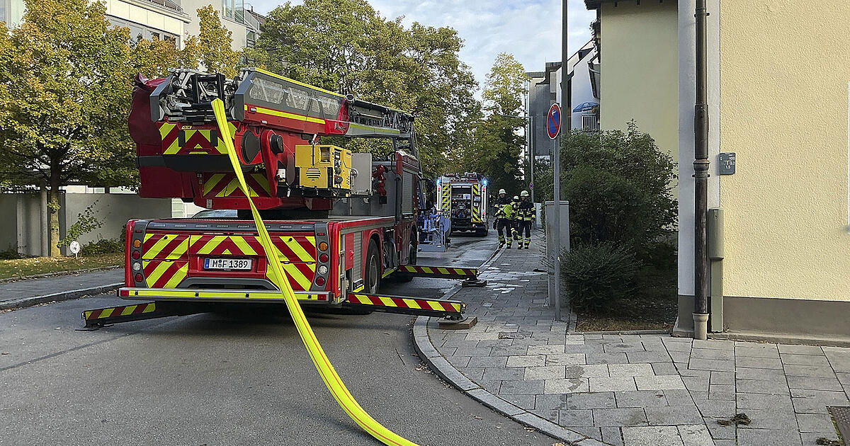 Zwei Katzen kommen bei Wohnungsbrand in München ums Leben