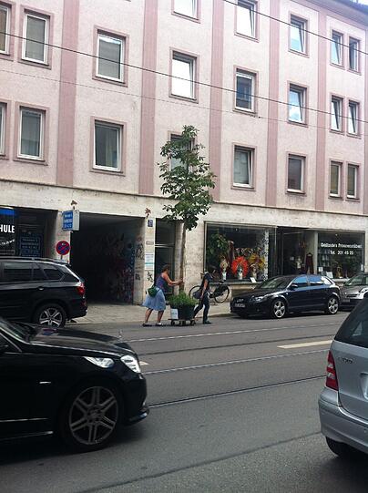 Zwei Mitarbeiterinnen von Green City schieben einen der Bäume zum Treffpunkt für den Umzug am Abend.