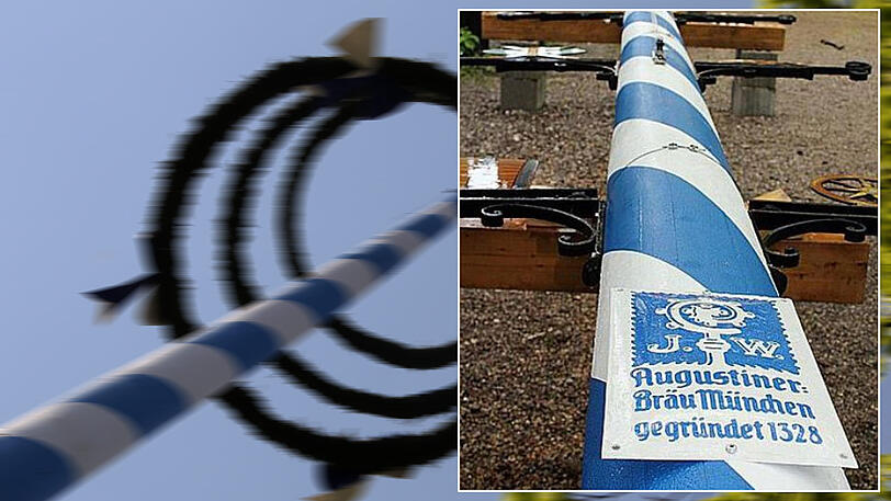 Das Corpus delicti: Der alte Maibaum des Augustinerkellers.