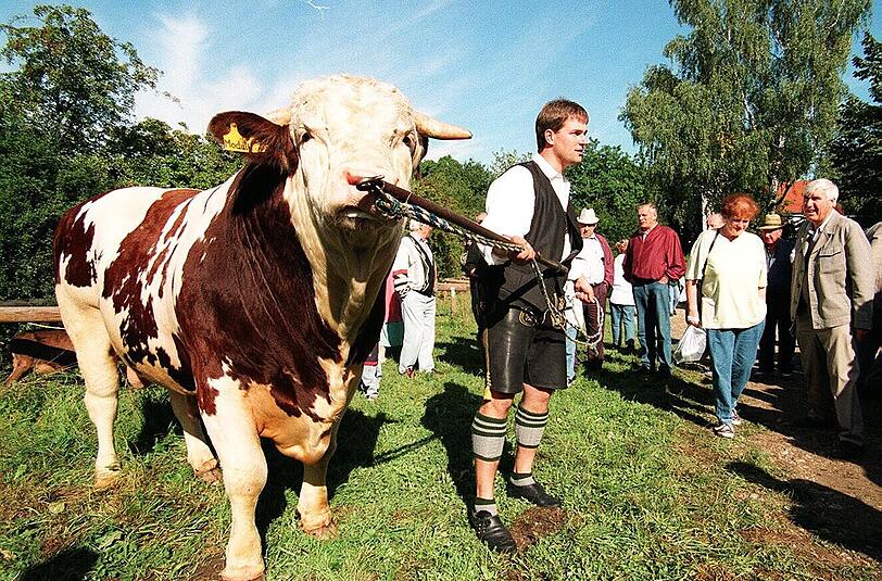 Was der wohl wiegen mag? Ein Bulle in Keferloh.