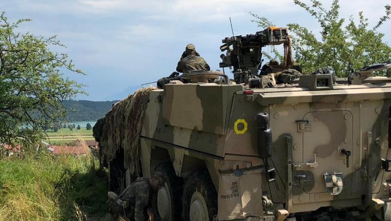 Bei der Brigadegefechtsübung "Berglöwe 2018" steht ein Fahrzeug der Bundeswehr auf einer Wiese. Foto: Bundeswehr/Archiv Bei der Brigadegefechtsübung "Berglöwe 2018" steht ein Fahrzeug der Bundeswehr auf einer Wiese. Foto: Bundeswehr/Archiv