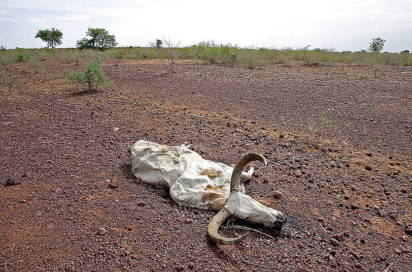2007: KlimakatastropheAls Klimakatastrophe bezeichnet man die Folgen von unkontrollierter globaler Erwärmung. Besonders in den Medien verwendet man den Begriff oft als Deutungsrahmen für befürchtete Folgen des menschengemachten Klimawandels.