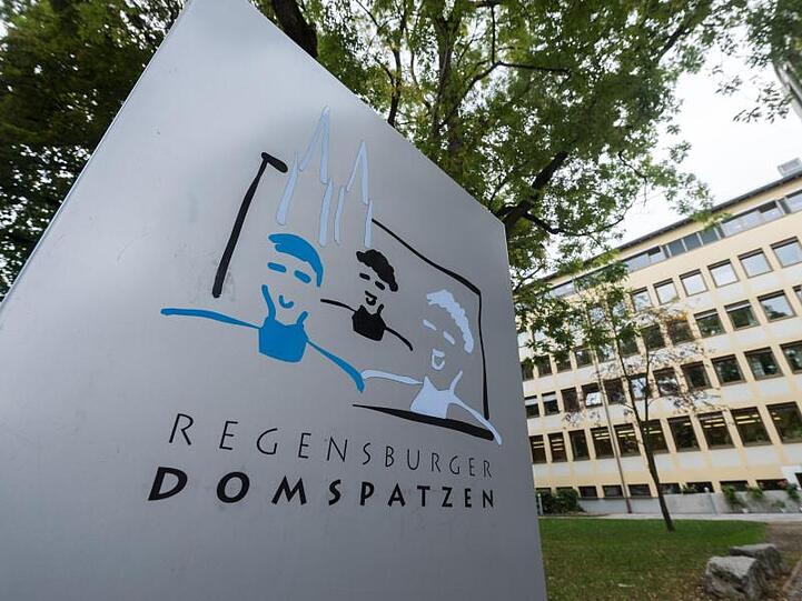 Das Gymnasium der Regensburger Domspatzen. Foto: Armin Weigel/dpa/Archivbild