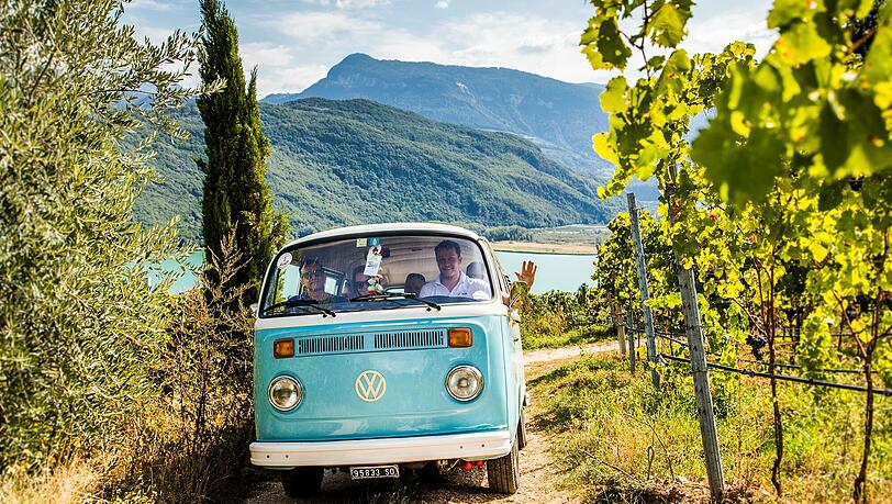 Die besondere Art den Weinberg kennenzulernen Wein-Tour mit dem Bulli. Die besondere Art den Weinberg kennenzulernen Wein-Tour mit dem Bulli.