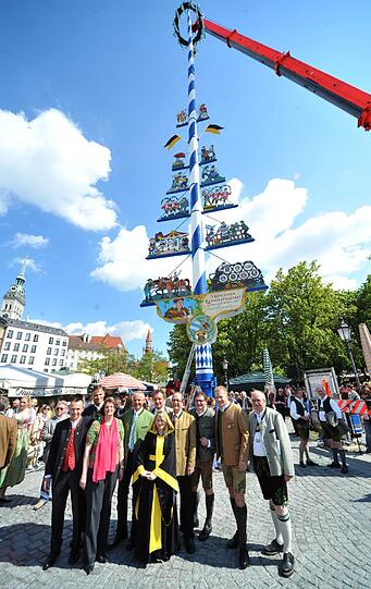 Endlich steht der Maibaum: Fünf Jahre soll er nun den Viktualienmarkt schmücken.