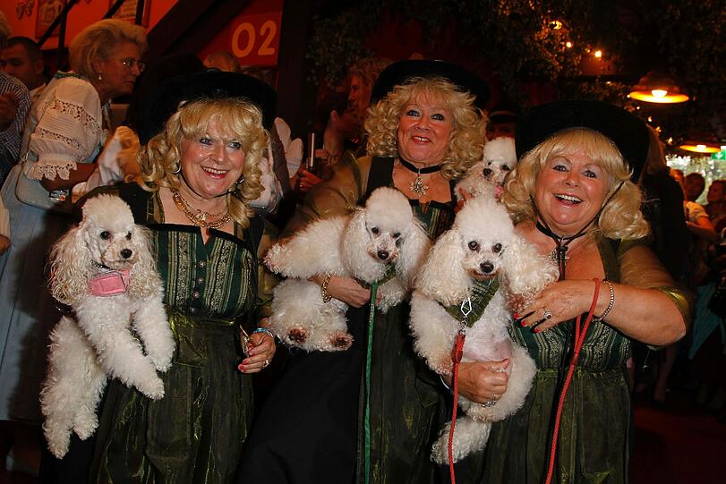 Regine Sixt's Damenwiesn: Die Münchner Lady-Elite trifft sich im Hippdrom. Die Bilder