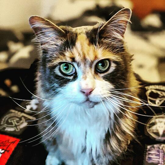 Fiona