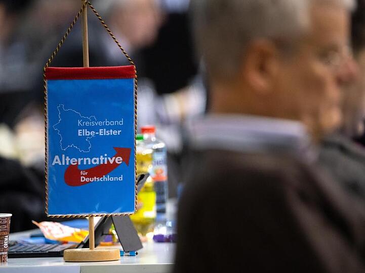 Europawahlversammlung der Alternative für Deutschland in der Sachsen-Arena in Riesa.