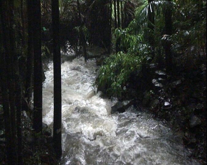 Am 13. Tag herrscht im Dschungelcamp Ausnahmezustand. Aufgrund der anhaltenden Regenfälle im australischen Dschungel ist das Camp weiter von der Außenwelt abgeschnitten. Brücken sind überflutet und die Zufahrtstraße ist nicht passierbar. Die inzwischen ausgeschiedenen Kandidaten Radost Bokel und Ailton, die Moderatoren Sonja Zietlow und Dirk Bach sowie rund 150 weitere Mitarbeiter sitzen seit nunmehr zwei Tagen im Dschungel fest.

RTL sendete am Mittwochabend trotzdem wie gewohnt. Die verbliebenen sechs Kandidaten sind laut Angaben des Senders sicher versorgt. Seit dem Beginn der Ausstrahlung von &ldquo;Ich bin ein Star &ndash; Holt mich hier raus!&rdquo; bei RTL im Jahre 2004 habe es so eine extreme Notlage allerdings nicht gegeben. Die Bilder aus Australien.