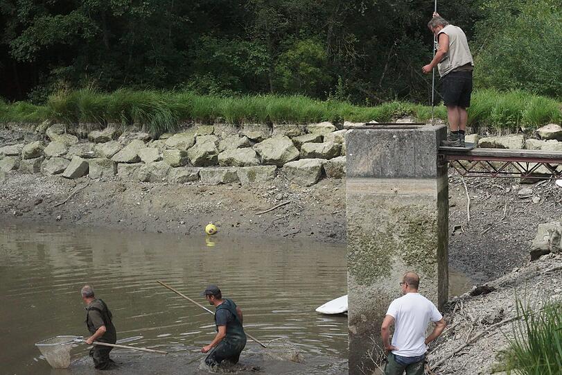 Bilder vom Badesee: Wo ist die Alligator-Schildkröte vom Oggenrieder Weiher?