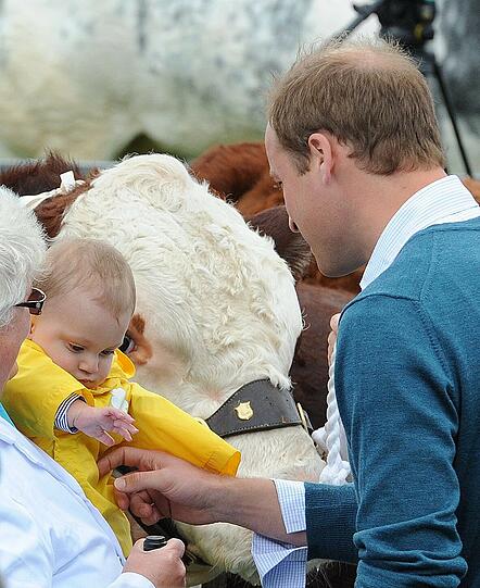 Prinz William bei der "Anglesey Show".