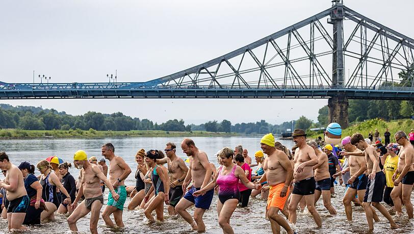 Hunderten Menschen machen beim Elbeschwimmen mit.