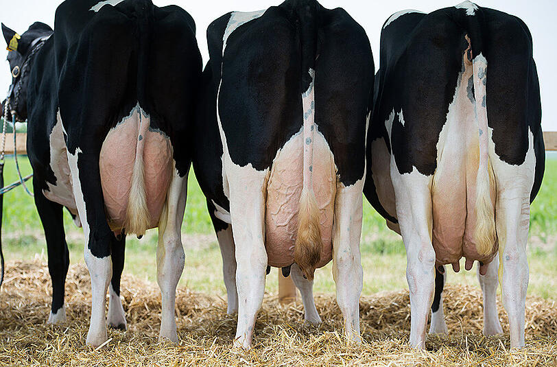 Die EU-Quotenregelung für Milch war am 1. April nach mehr als drei Jahrzehnten ausgelaufen.