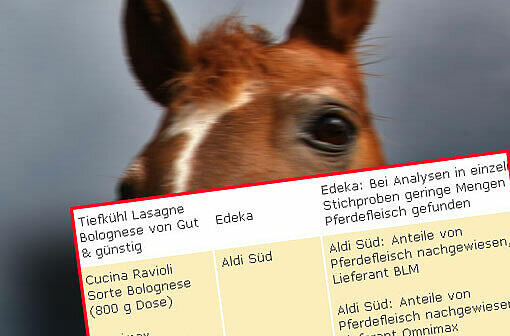 Rind steht drauf und Pferd ist drin - aber wo? Die Verbraucherzentrale listet verdächtige oder identifizierte Produkte auf.