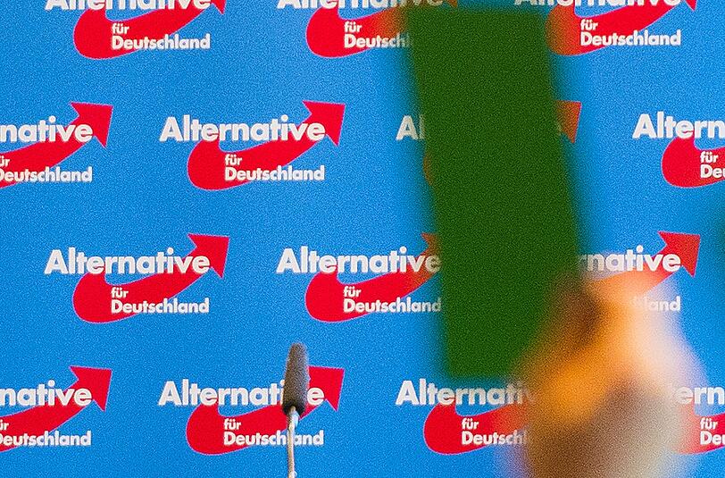 Im Mai hat die AfD ein nationalkonservatives Grundsatzprogramm verabschiedet. Foto: Daniel Bockwoldt