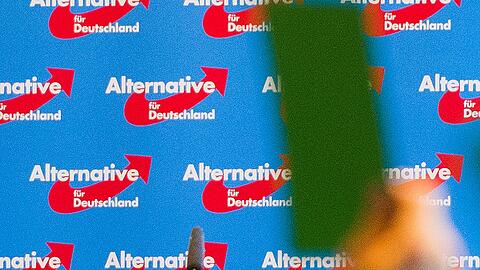 Im Mai hat die AfD ein nationalkonservatives Grundsatzprogramm verabschiedet. Foto: Daniel Bockwoldt
