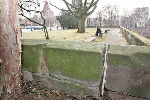 Mehrere Zentimeter sind die Risse in der Stadtmauer an der Hallerwiese breit. Links im Hintergrund ist der Westtorgaben zu sehen.