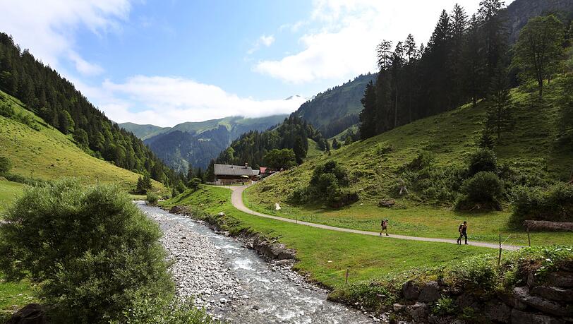 Der Rappenalpbach im Allgäu war durch Baggerarbeiten in einen Kanal verwandelt worden. Durch neue Arbeiten ist er nun wieder im Zustand eines Wildbachs. (Archivbild) Der Rappenalpbach im Allgäu war durch Baggerarbeiten in einen Kanal verwandelt worden. Durch neue Arbeiten ist er nun wieder im Zustand eines Wildbachs. (Archivbild)
