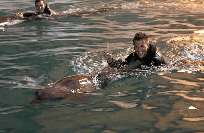 Für die Löwen ging's am Mittwoch noch tierisch zu: Im Delfinarium durften sie mit Flipper & Co. eine Runde schwimmen.
